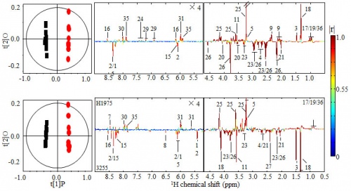 NMR analysis of metabonomic changes accompanying resistance