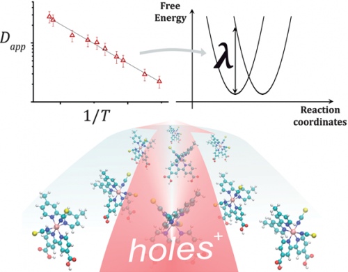 The reorganization energy of intermolecular hole hopping on surfaces