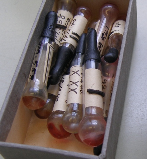 Bacterial vials 1930's