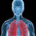 Click to find out more about the Pulmonary Vascular Disease: Bench to Bedside and Back research theme