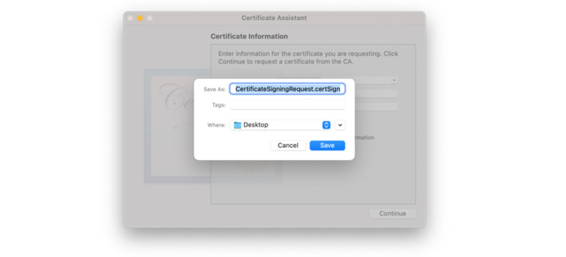 save certificate 