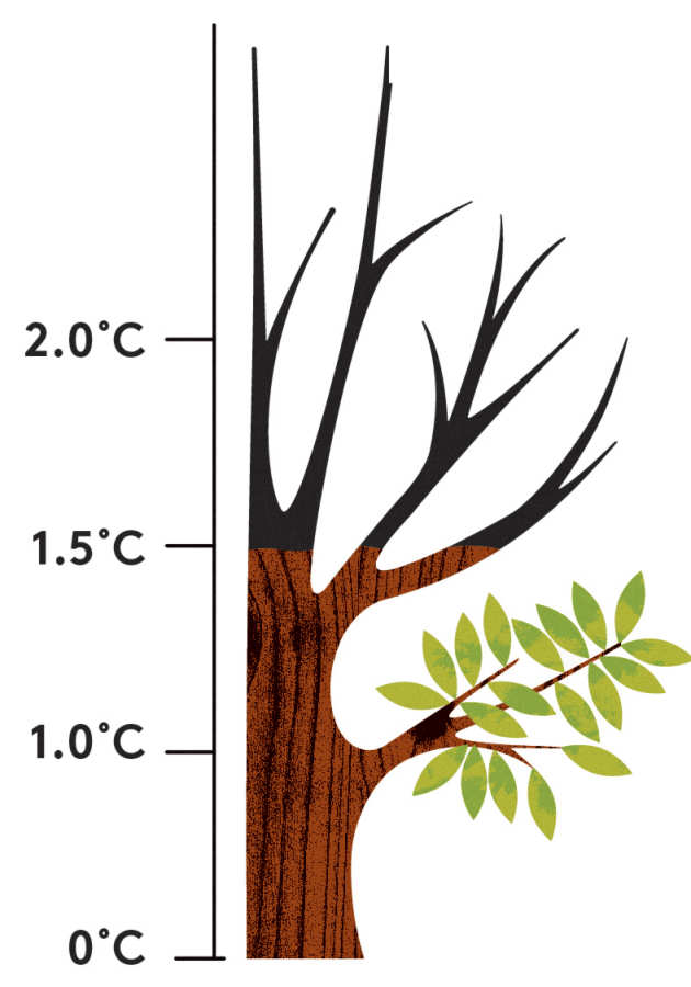 Graphic of a tree next to a gauge of temperatures 0 deg C to 2 deg C