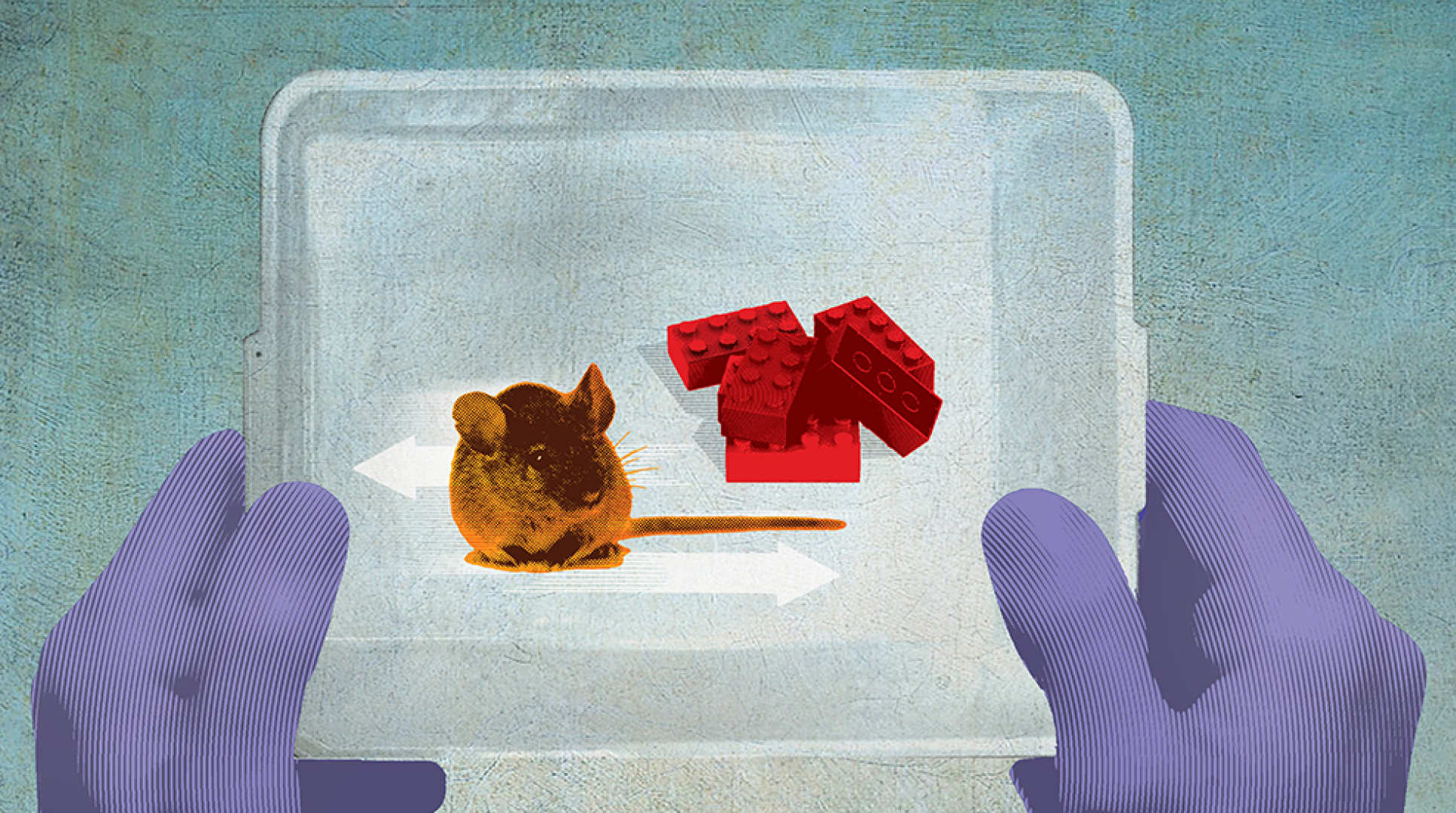 An illustration showing a mouse and lego bricks in a tray, held by two hands