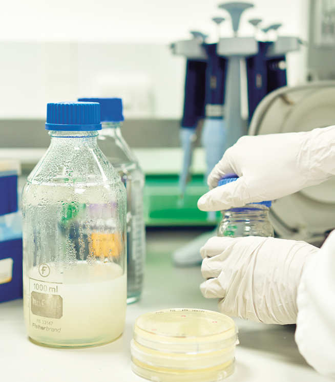 A close up of a scientist's hands opening a jar and petri dishes and bottles of chemicals