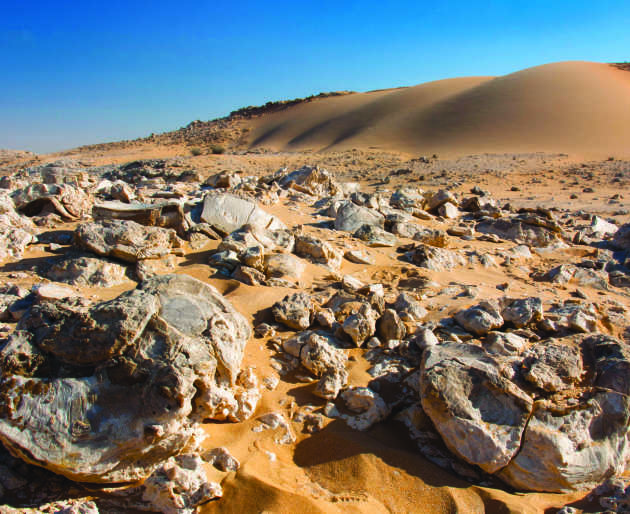 Oman Desert