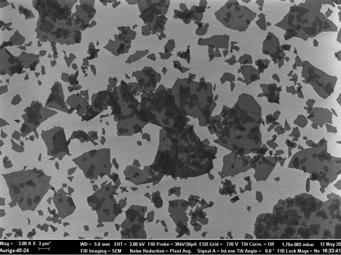 Graphene oxide nanoplatelets