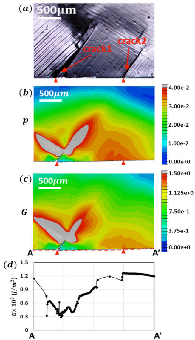 Microstructural characterisation (SEM) and crystal plasticity modelling of crack nucleation in aero-engine nickel alloy; local stored energy, G,  captures nucleation sites 