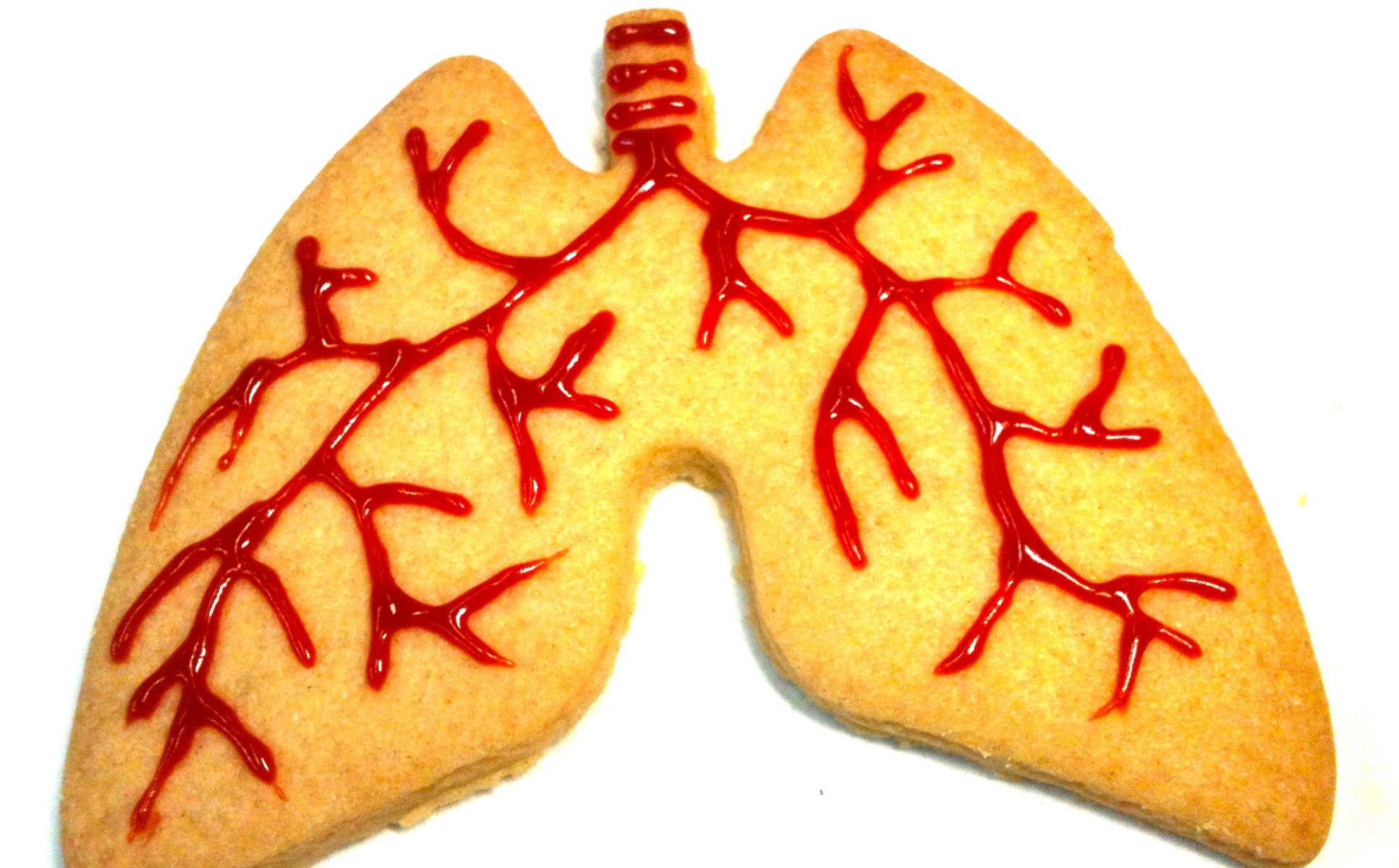 Biscuit in the shape of lungs