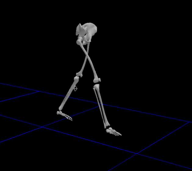 Hypermobility analysis skeleton gait