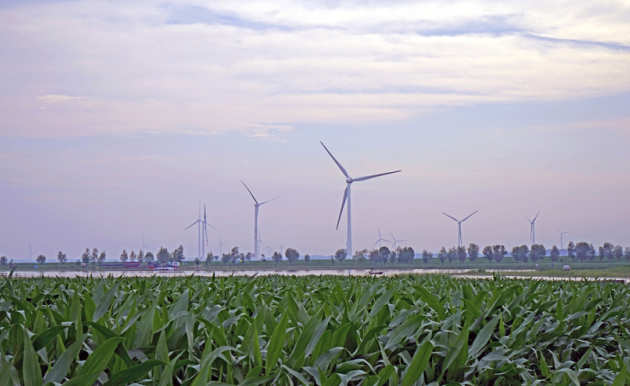 Wind farm in China