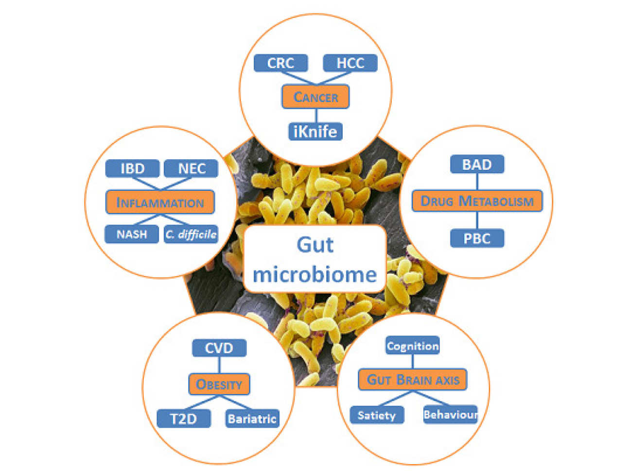 Research diagram