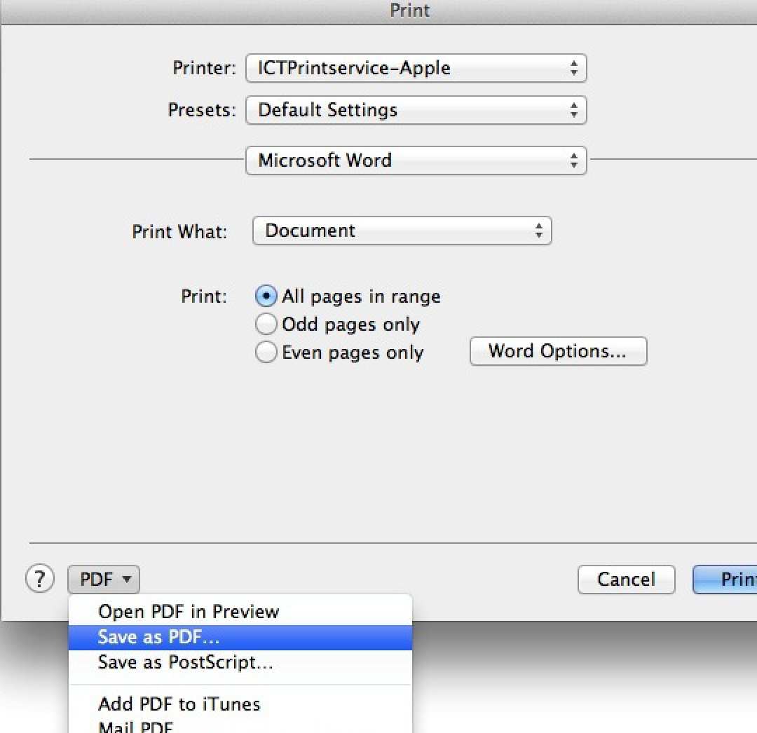 Screen image showing Save as PDF