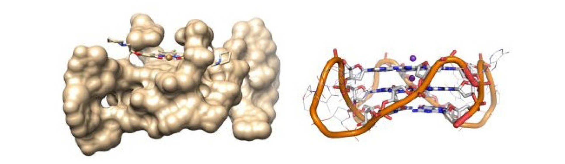 The interactions between a small molecule and G-quadruplexes are visualized by fluorescence lifetime imaging microscopy, Nature Communications volume 6, Article number: 8178 (2015)