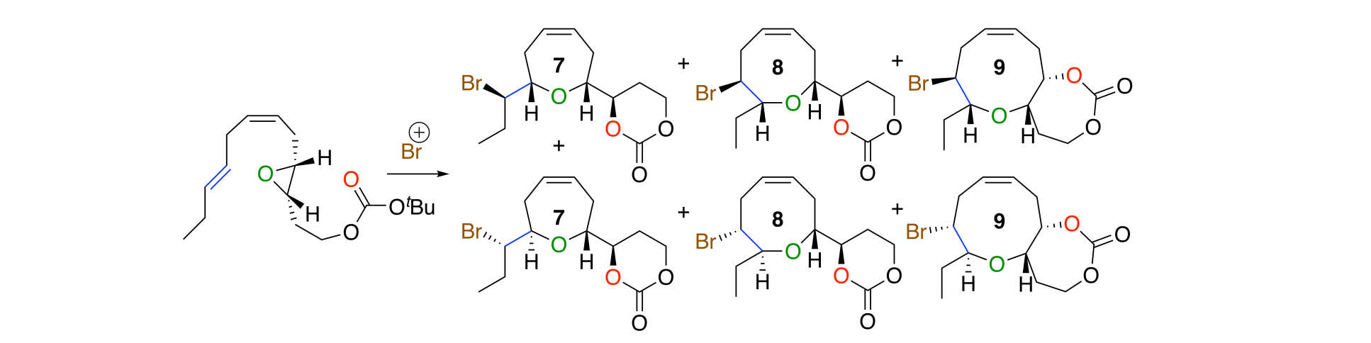 A Unifying Stereochemical Analysis for the Formation of Halogenated C15-Acetogenin Medium-Ring Ethers From Laurencia Species via Intramolecular Bromonium Ion Assisted Epoxide Ring-Opening and Experimental Corroboration with a Model Epoxide