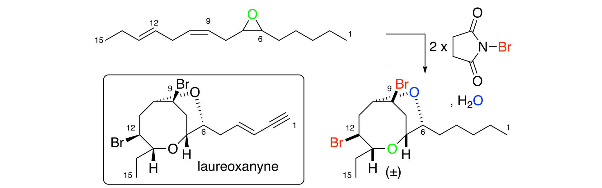 Summary scheme for paper: Proof-of-Principle Direct Double Cyclisation of a Linear C15-Precursor to a Dibrominated Bicyclic Medium-Ring Ether Relevant to Laurencia Species
