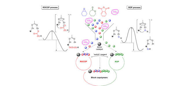 20-JACS