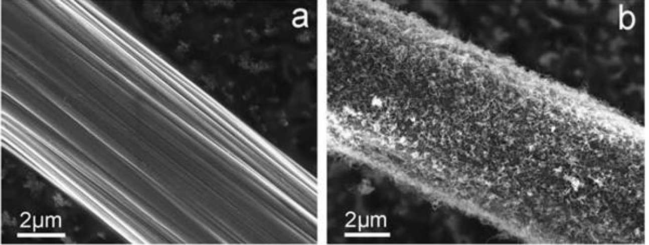 Scanning electron micrographs of carbon fibres (a) before and (b) after carbon nanotube growth. Courtesy of Hui Qian [1]