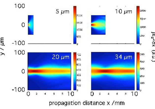 Computer Simulations of High Intensity Laser Interactions