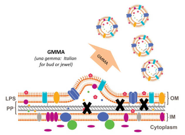 Membrane antigens