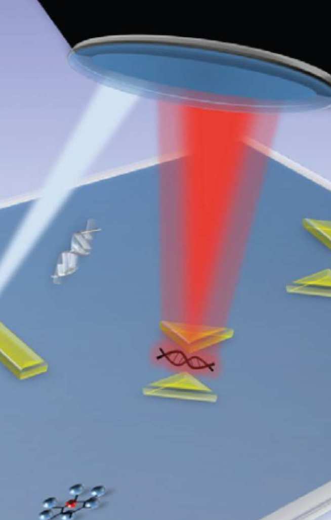 Plasmonic nanoantennas with molecules placed into electromagnetic hot spots for enhanced biological sensing