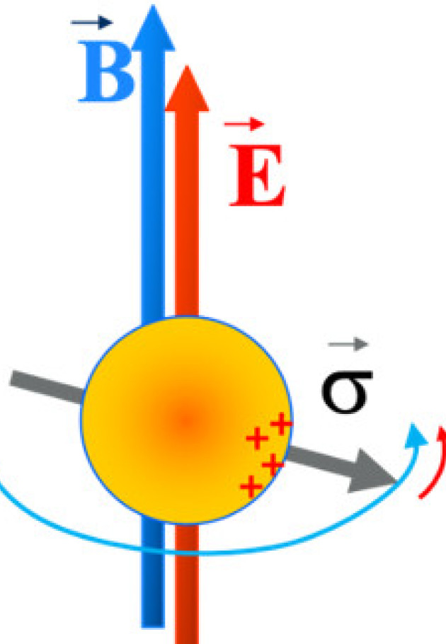 An electron spin in combined magnetic (B) and electric (E) fields