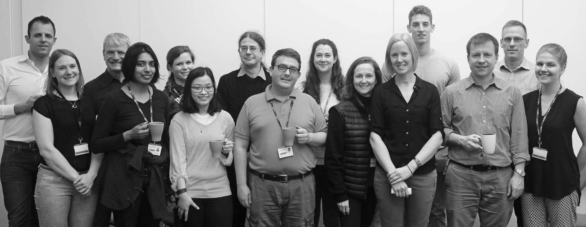 Group photo of CBIS staff and students at 2017 team networking event