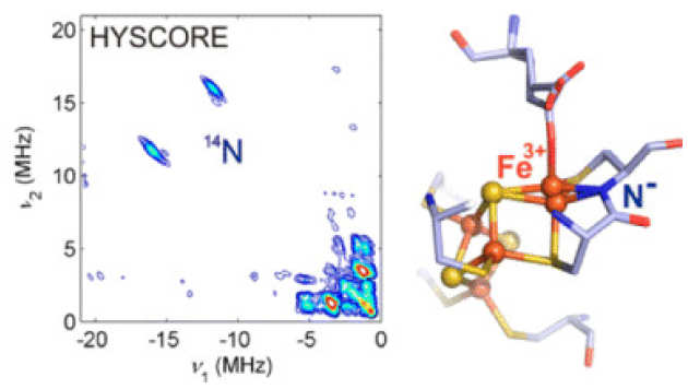 EPR Spectroscopic Studies of the Fe–S Clusters in the O2-Tolerant