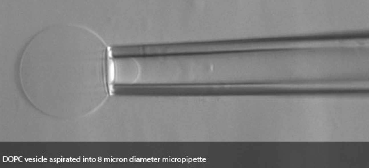 DOPC vesicle aspirated into 8 micron pipette