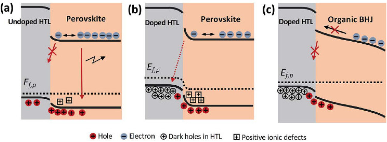 Perovskites 3