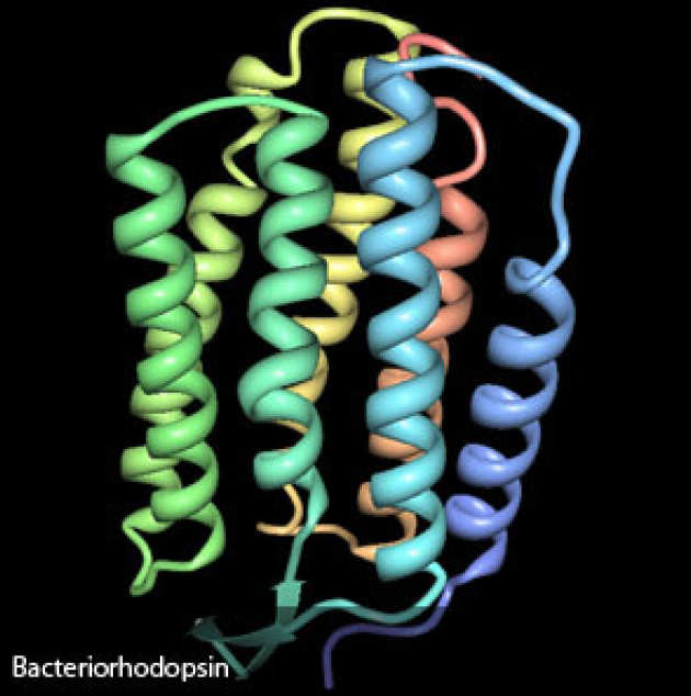 Bacteriohodopsin