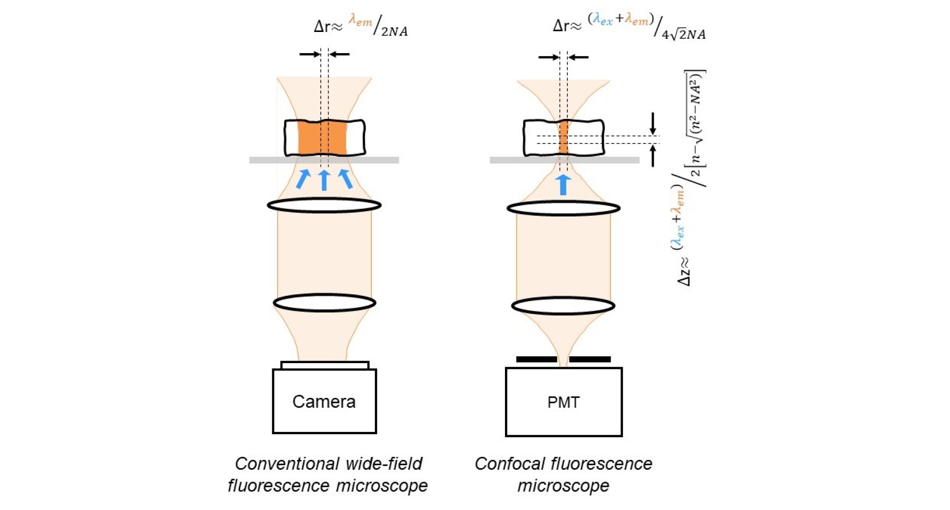 Confocal