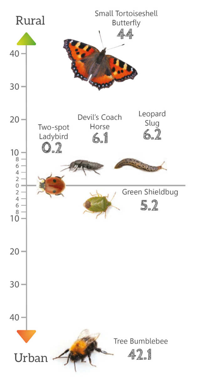 species quest results