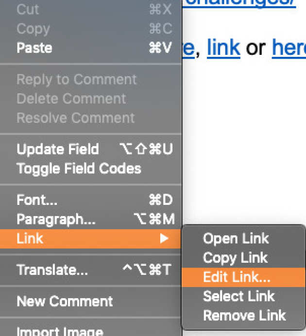 Menu options on a Mac when right clicking on an image. Screenshot of the 'Edit Alt Text...' is selected.
