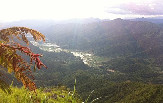 The amazing Himalayan landscape 