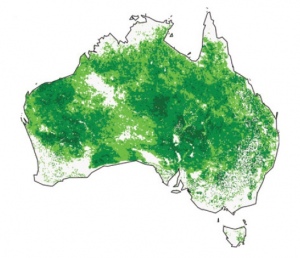 Greenness in Australia