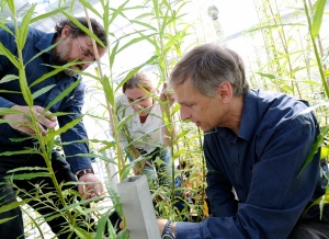 Dr Jeremy Wood (right) working on a biofuels research project