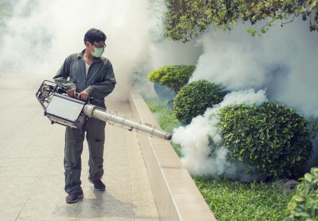 Man spraying hedges with chemicals