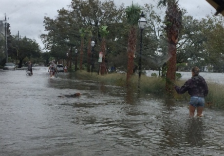 people wading through water