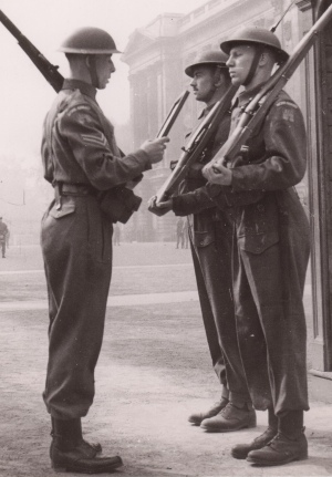 Soldiers on sentry duty at the Palace