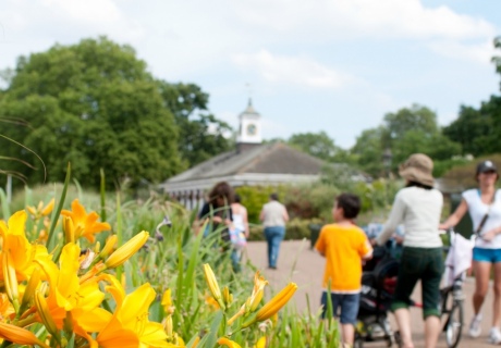 people walking in the park, with flowers and sunshine