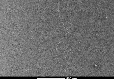 Electron microscope image showing the filament