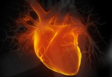 New gene therapy could treat devastating heart failure