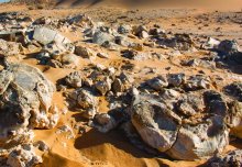 Travel: Dr Cedric John and the Omani Desert