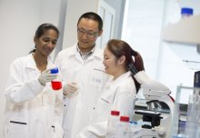 Singapore medical school launches research strategy