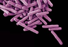 Diagnosis of childhood TB could be improved by genetic discovery