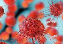 Protein plays dual role in helping breast cancer tumours to grow