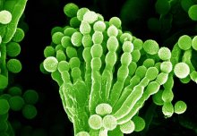 Imperial calls for public action on antimicrobial resistance