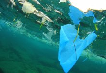 To clean up ocean plastics focus on coasts, not the Great Pacific garbage patch