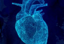 New blood test detects deadly inherited heart conditions