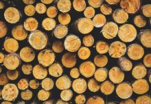 From waste to value: the coming of age of the lignin bio-economy